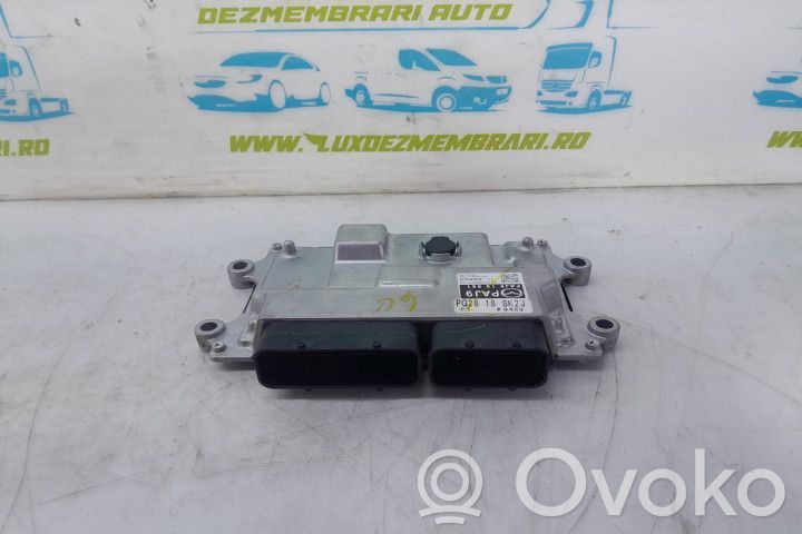 Engine control unit/module ECU   PAJ918881
