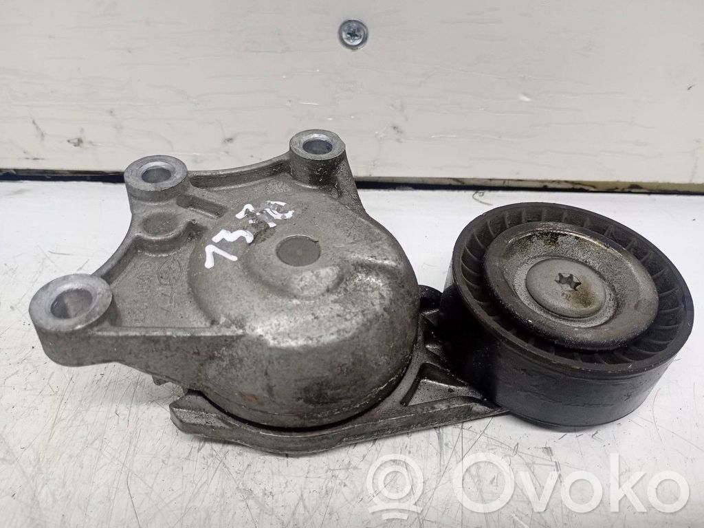 Peugeot 508 Rolă întinzător curea alternator