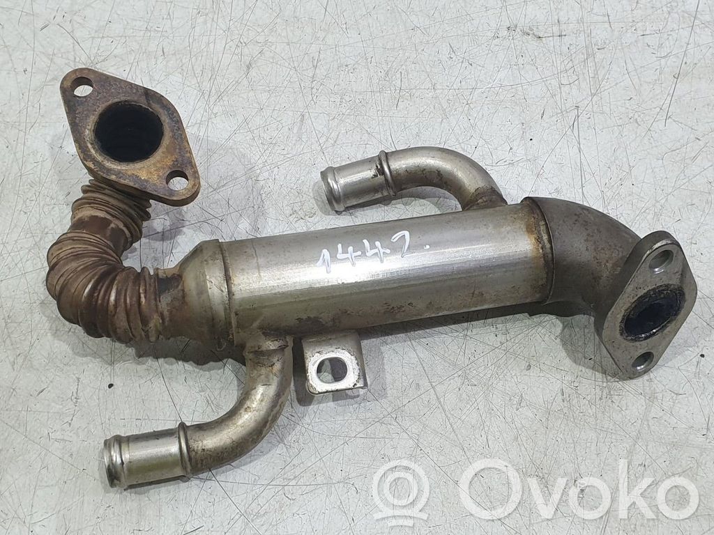 Skoda Fabia Mk1 (6Y) Răcitor supapă EGR 