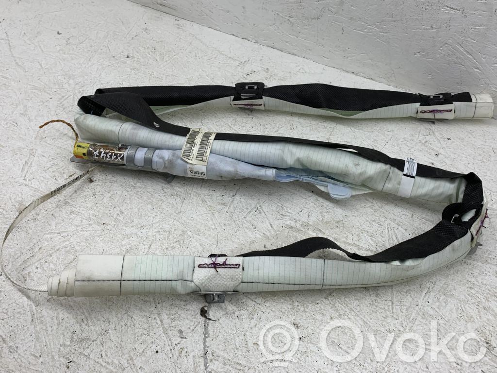 Citroen C4 Cactus Airbag del techo 