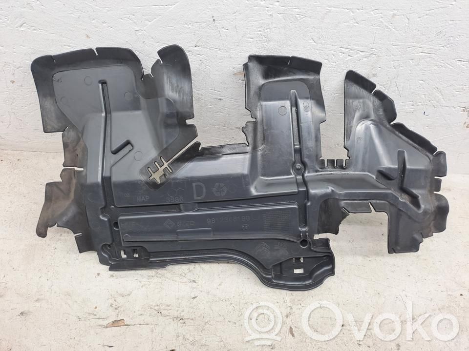 Citroen C3 Kühlerverkleidung 