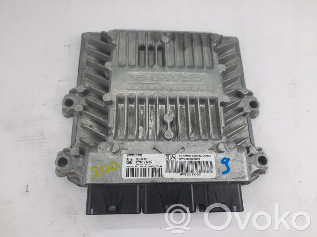 Peugeot 407 Engine control unit/module 