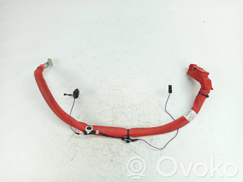 BMW X3 G01 Positive cable (battery) 