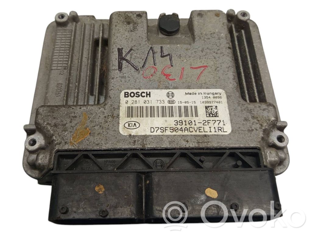 Engine control unit/module   391012F771,0281031733,1039S77401,D7SF504A0