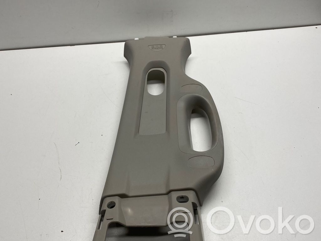 Dodge RAM (B) pillar trim (top) 