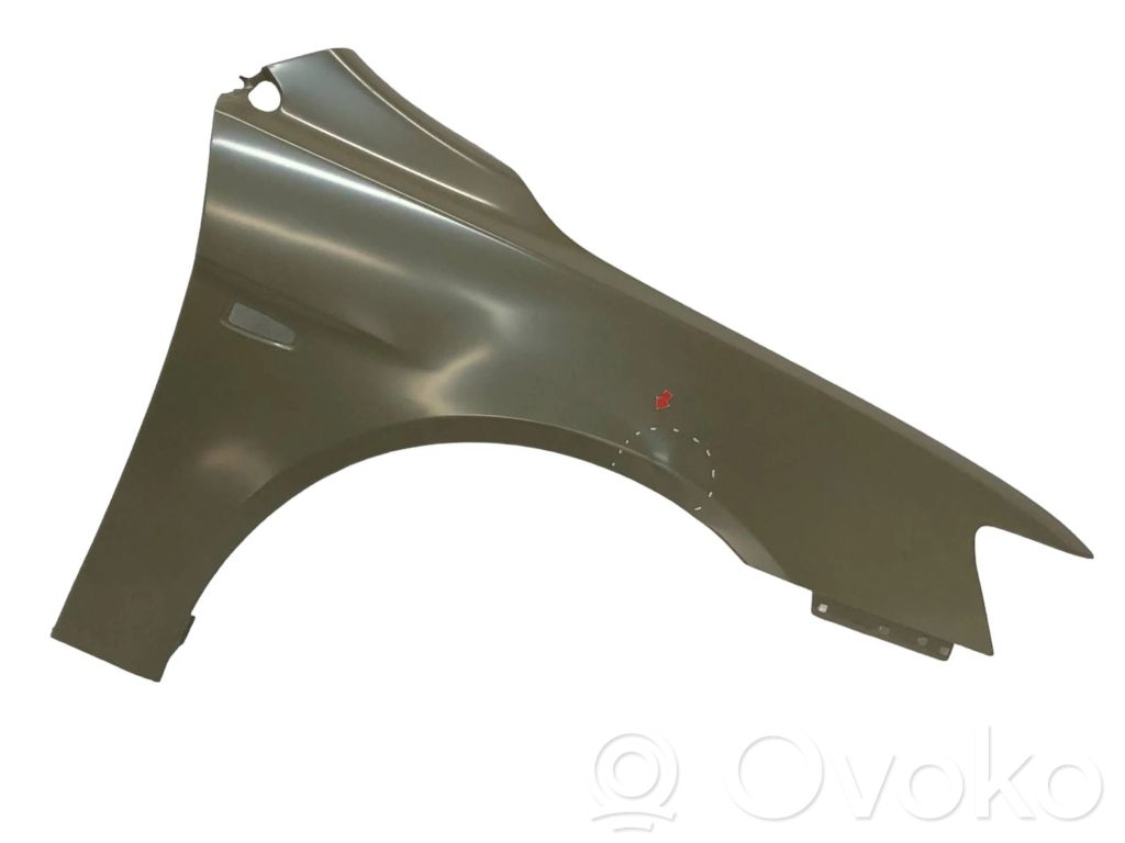 Guardabarro   5220C528,REPLACEMENT,TAIWAN