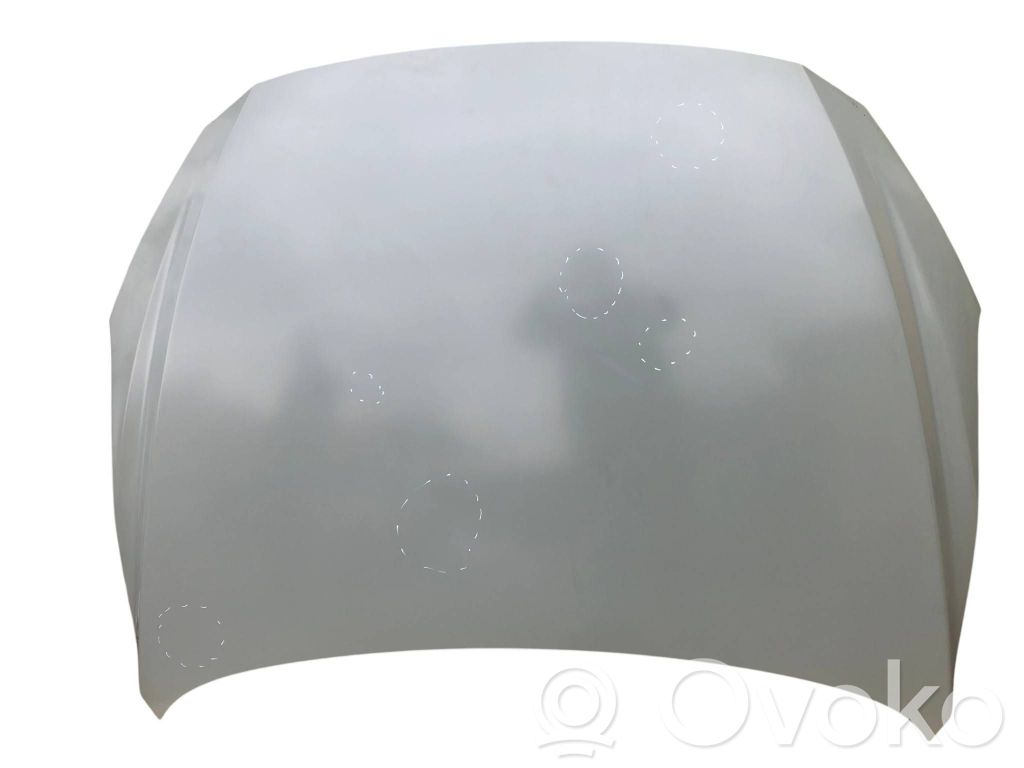 Motorhaube   REPLACEMENT,TAIWAN,BHY05231X