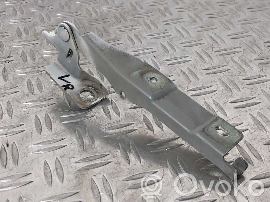 Engine bonnet/hood hinges   7912F6