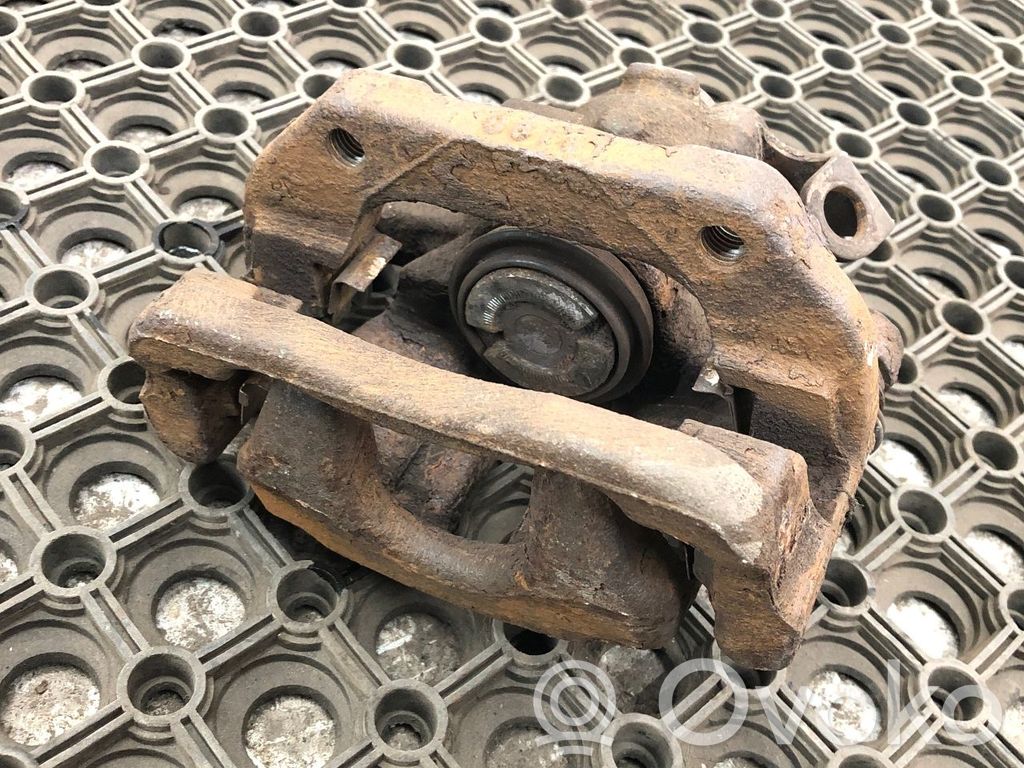 Takajarrusatula   4401L1