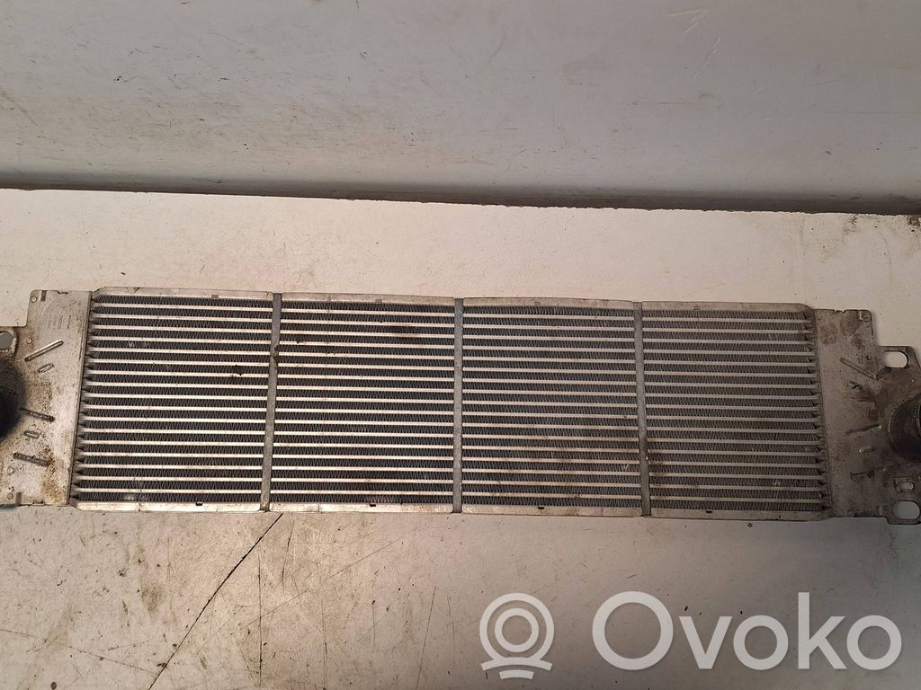 Volkswagen Multivan T5 Radiador intercooler 