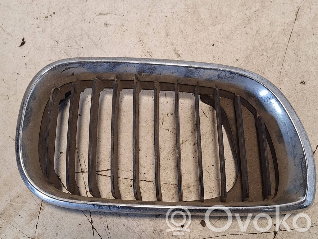 Front grill   70563149