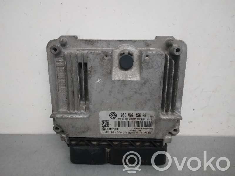 Seat Leon (1P) Engine control unit/module 