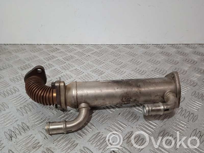 Hyundai Santa Fe Răcitor supapă EGR 