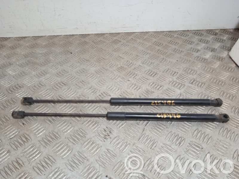 Jeep Renegade Tailgate/trunk strut/damper 