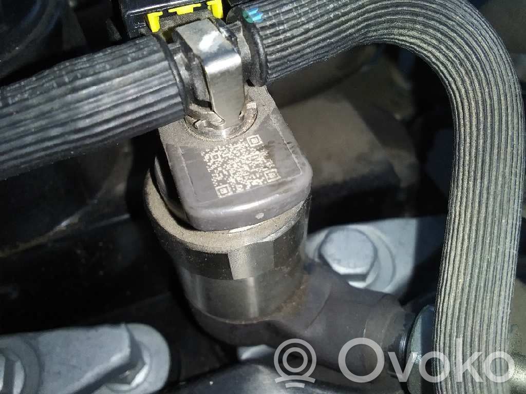 Injektor Einspritzdüse