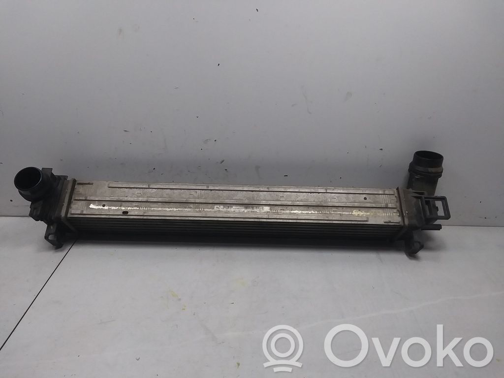 Renault Megane III Chłodnica powietrza doładowującego / Intercooler 