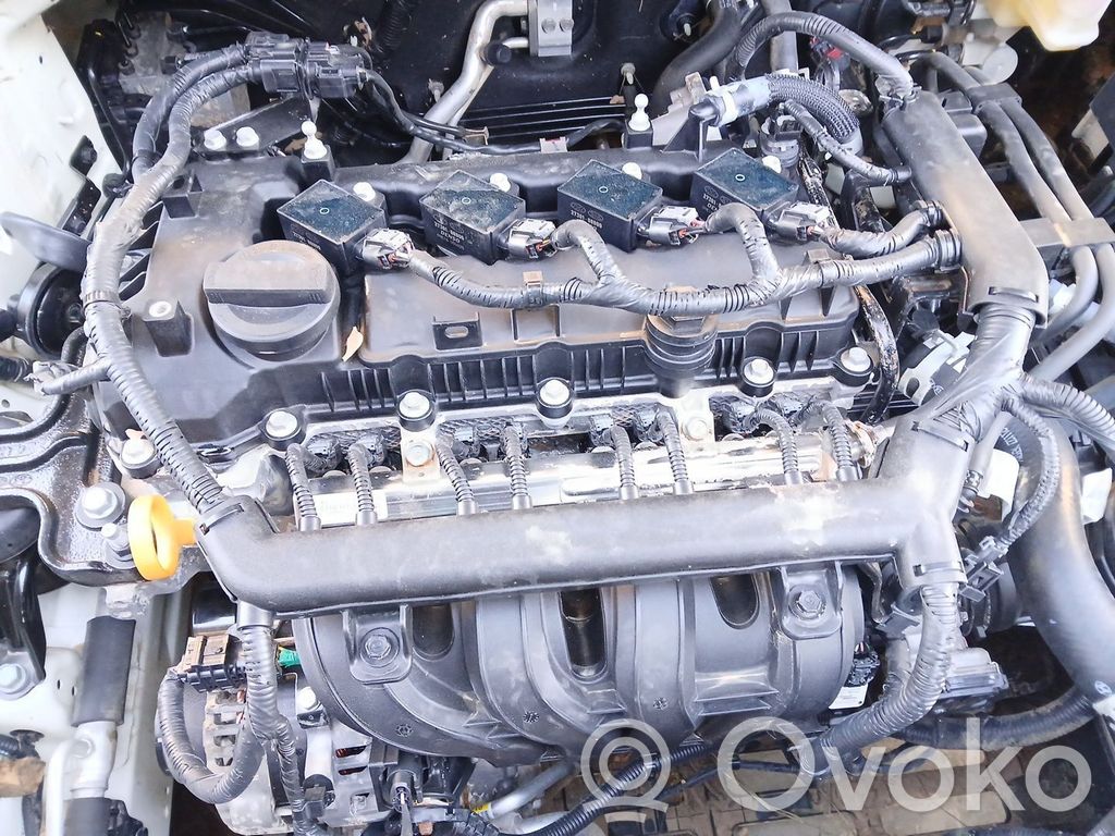 Engine   G4LF,11000KM