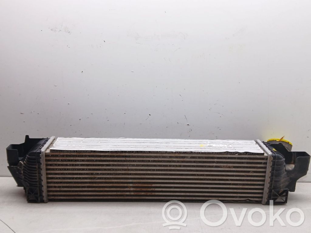 BMW 1 F40 Radiatore intercooler 