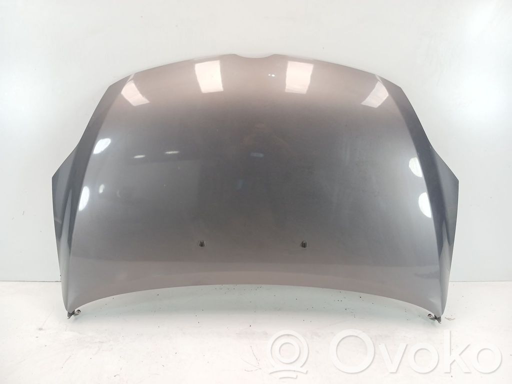 Engine bonnet/hood
