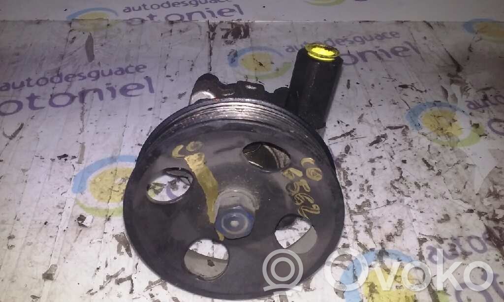 Power steering pump   11CM