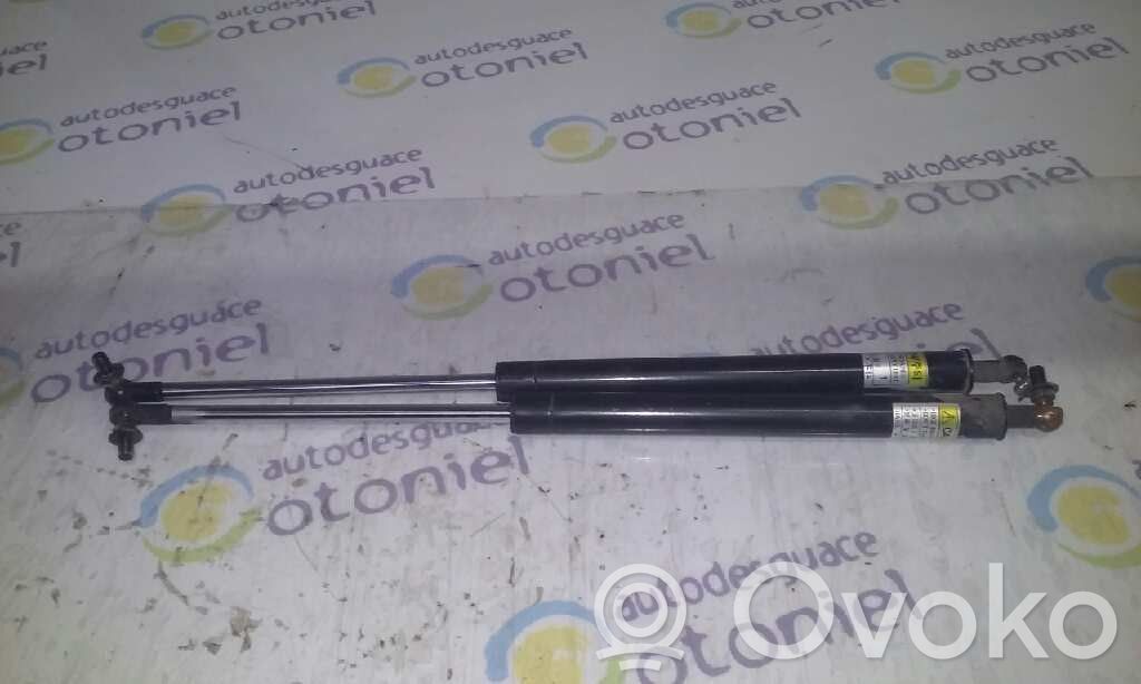 Daewoo Lanos Tailgate/trunk strut/damper 