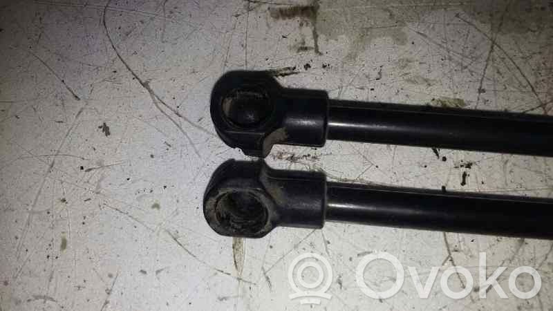 Land Rover Discovery 4 - LR4 Tailgate/trunk strut/damper 