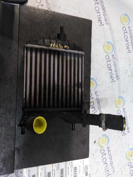 Fiat Punto (199) Radiatore intercooler
