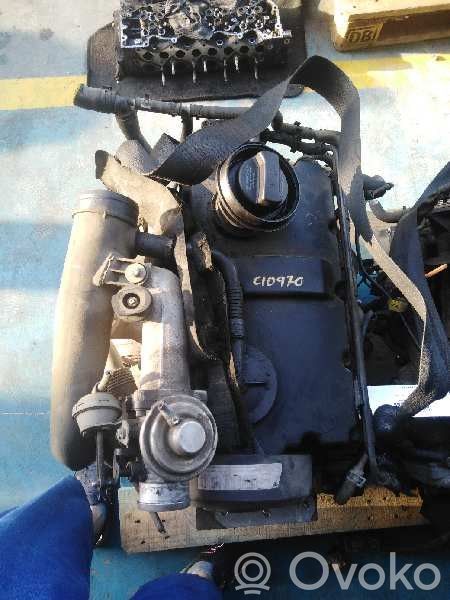 Motor
