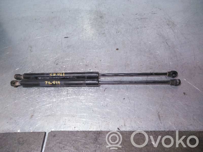 Tailgate/trunk strut/damper   620N,495CM