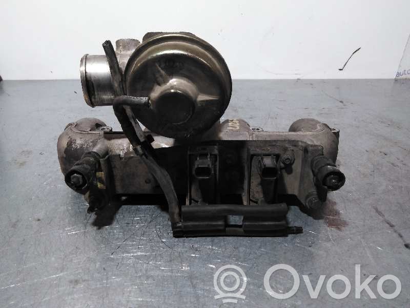 Ford Focus EGR vožtuvas 