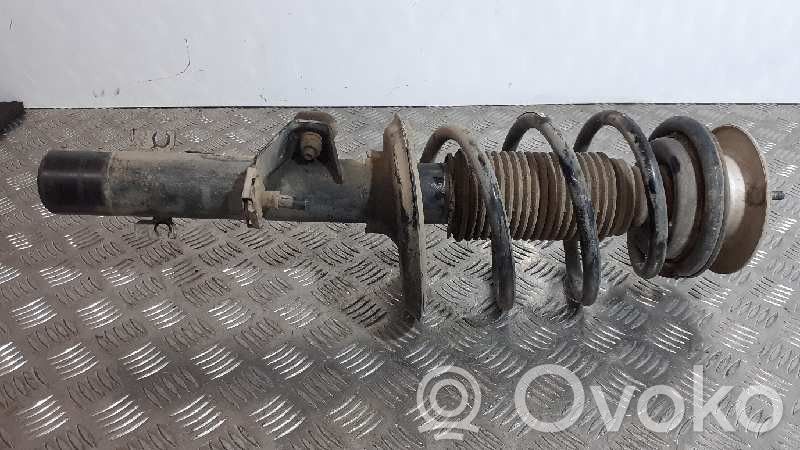 Amortyzator osi przedniej ze sprężyną   3411620,31303413146,31313453524