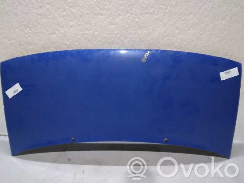 Engine bonnet/hood   1SERIEAZUL,SCUDOEXPERT