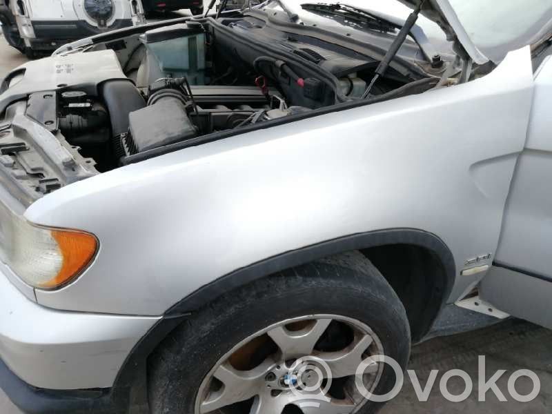 BMW X5 E53 Sparnas 