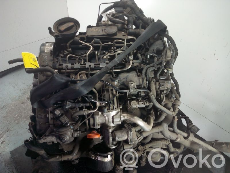 Motor   CBD