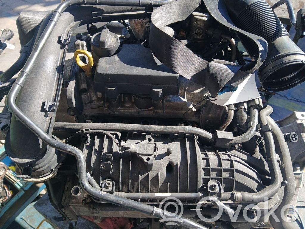 Motor