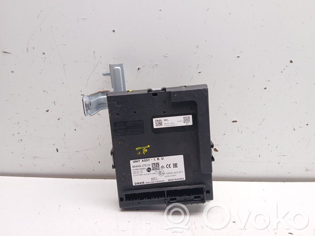 Engine control unit/module   954A0J7EL0,4100020022