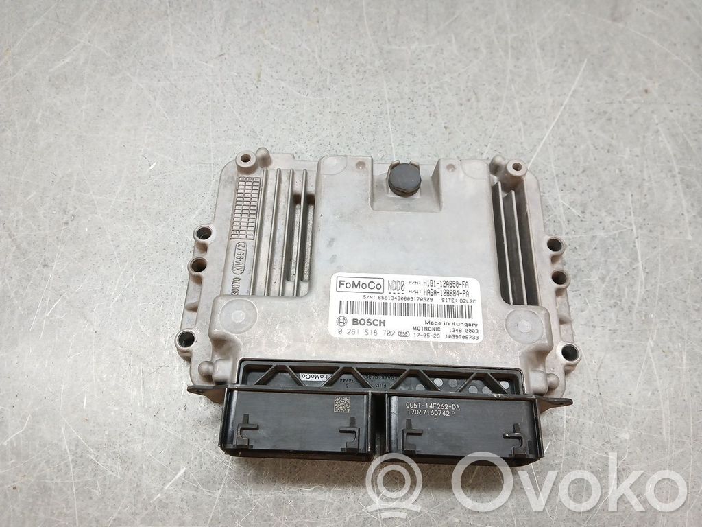 Ford Fiesta Unitate/modul de control motor 