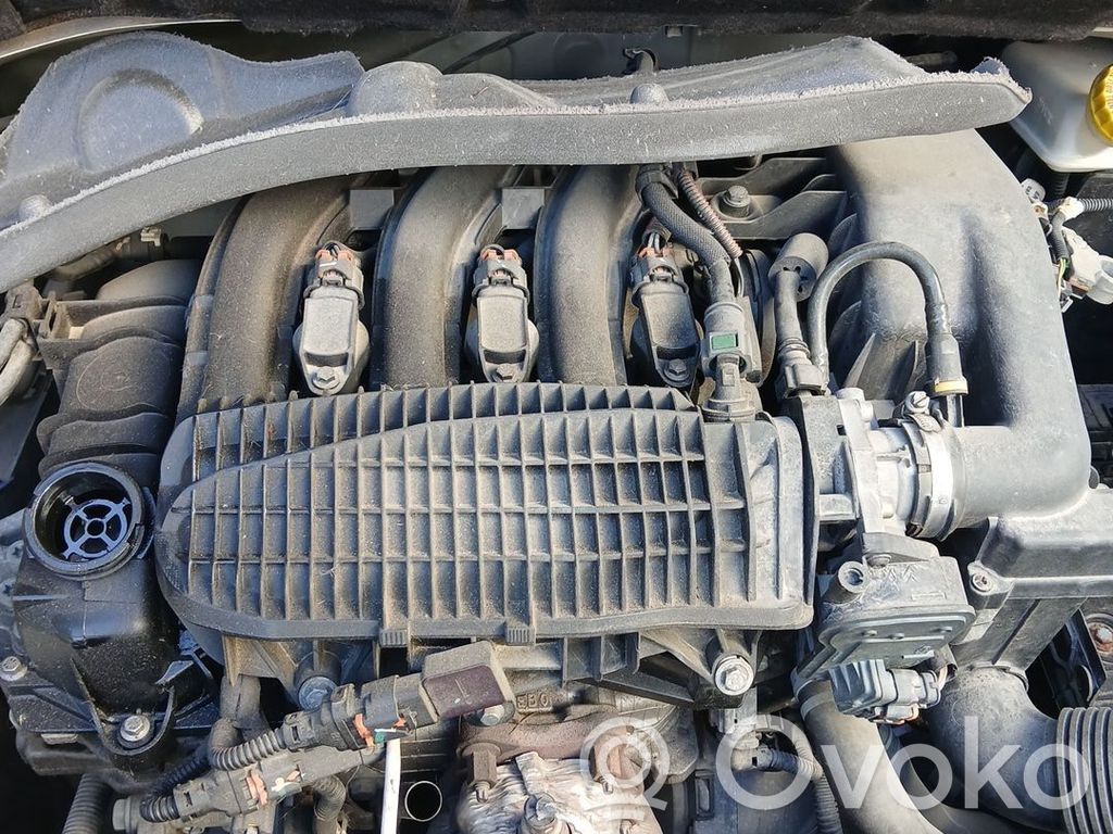 Citroen C3 Variklis 