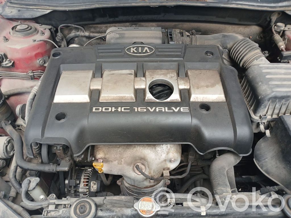 Motor   G4ED