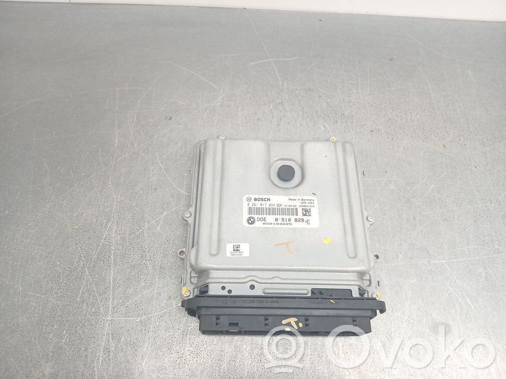 Moottorin ohjainlaite/moduuli   0281017024,851082901