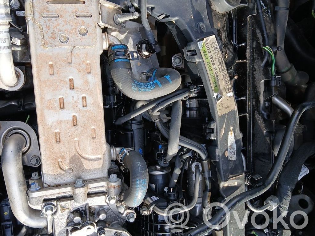 Motor   651901