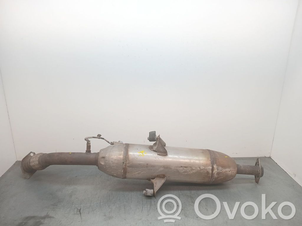Filtr cząstek stałych Katalizator / FAP / DPF   10R1054