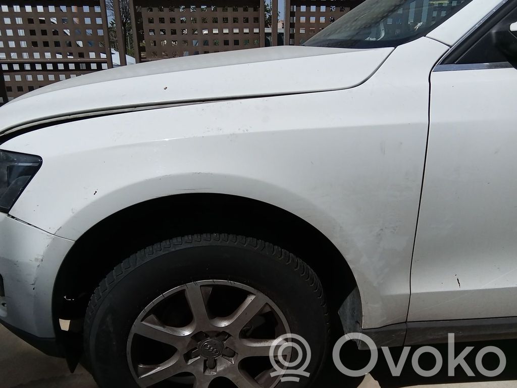 Audi Q5 SQ5 8R Aripă 