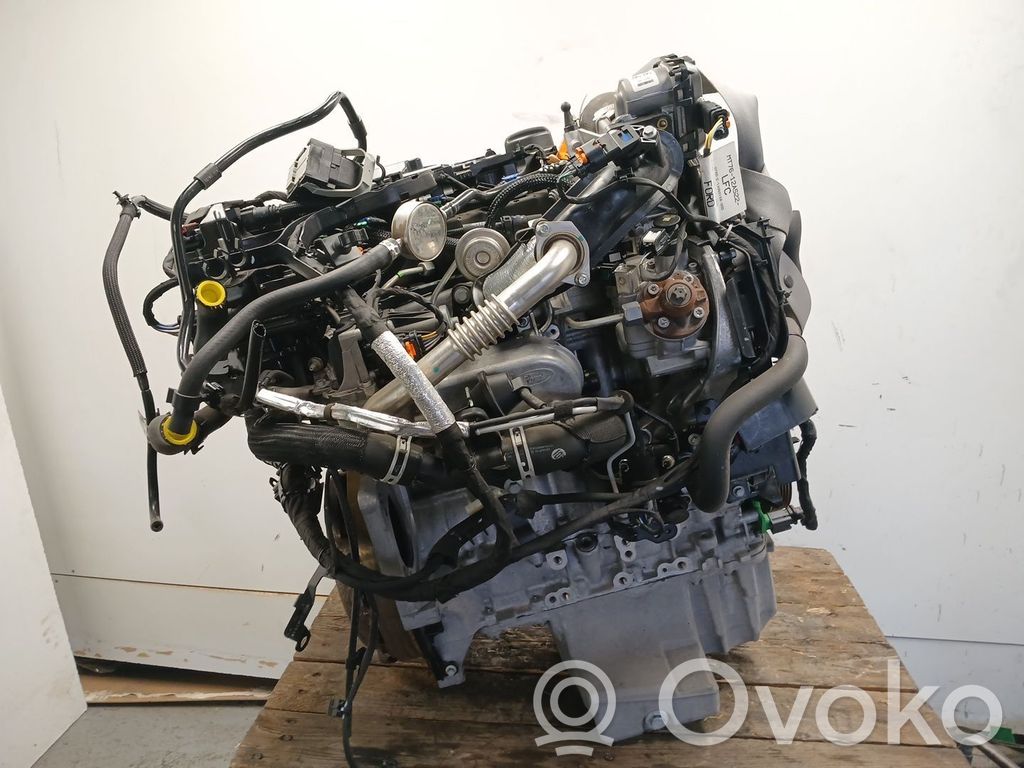 Motor