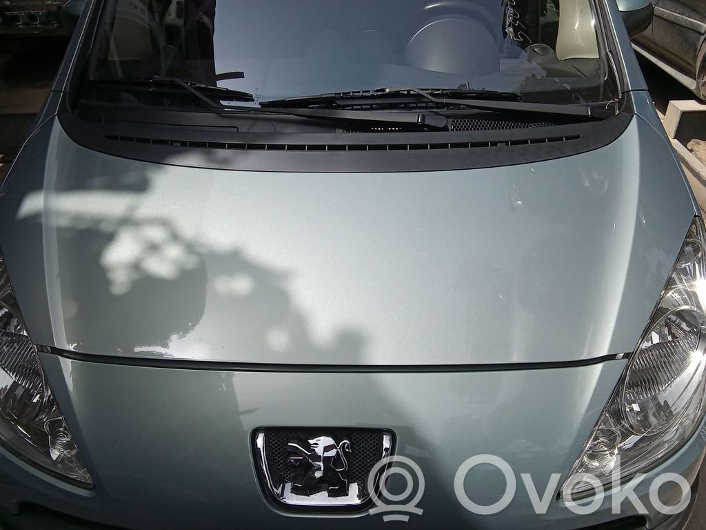 Peugeot 1007 Vano motore/cofano