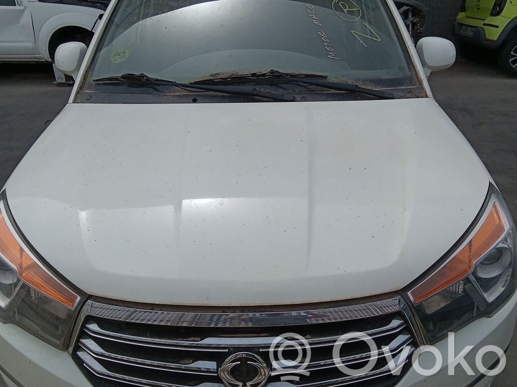 SsangYong Rodius Konepelti