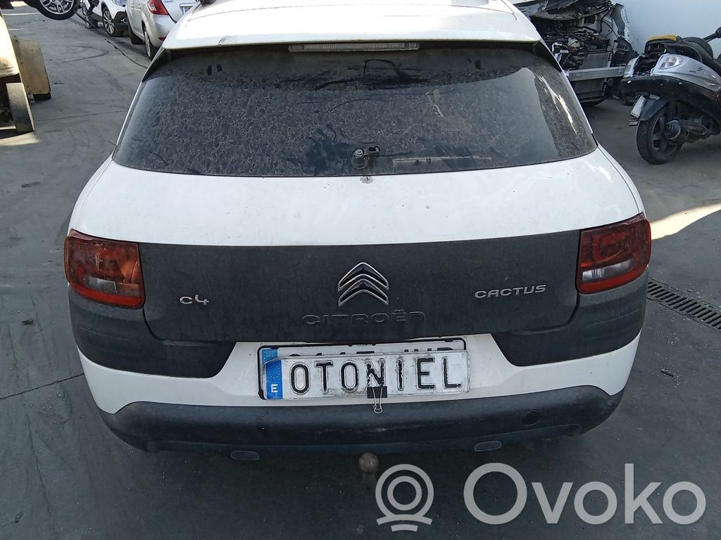 Citroen C4 Grand Picasso Puerta trasera 