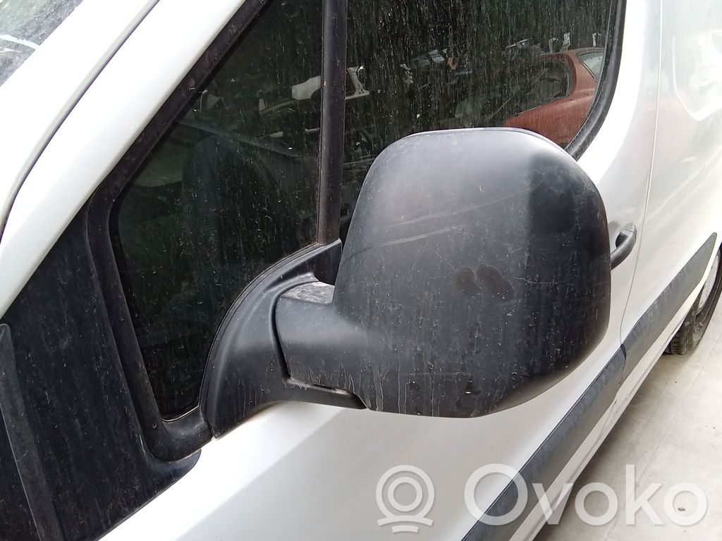 Elektryczne lusterko boczne drzwi przednich   8154TG