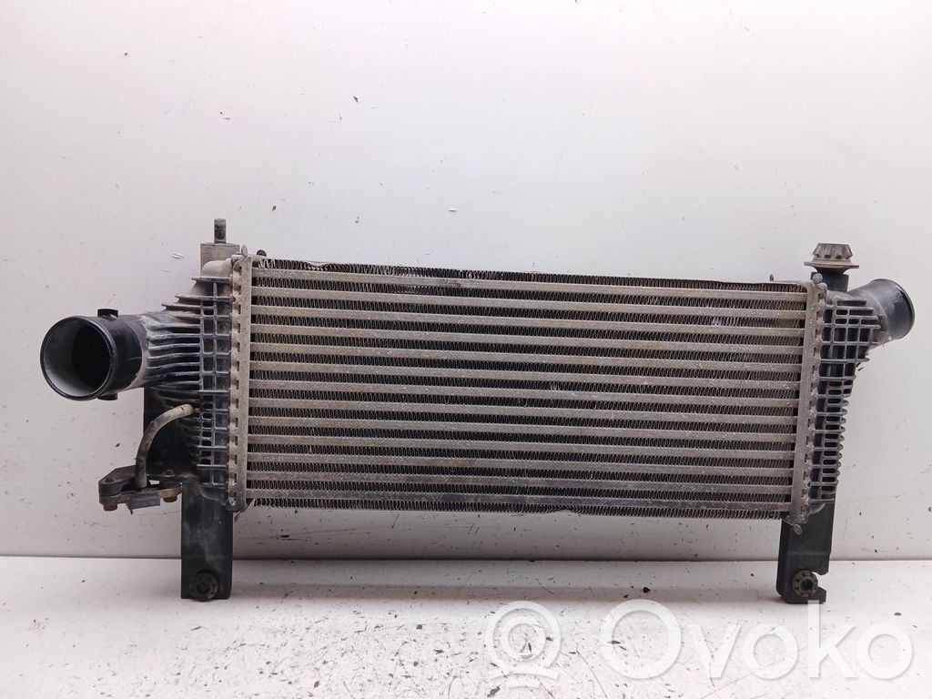 Nissan Pathfinder R51 Refroidisseur intermédiaire