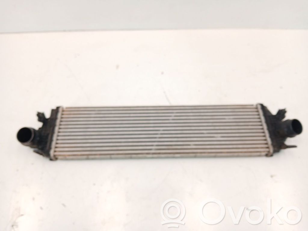 Ford Focus Radiator intercooler 